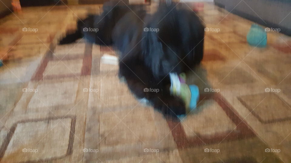 People, One, Recreation, Wood, Adult