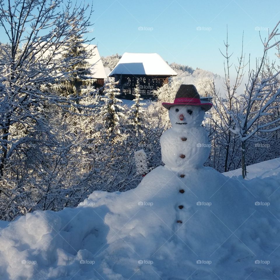 Snowman from Slovenia
