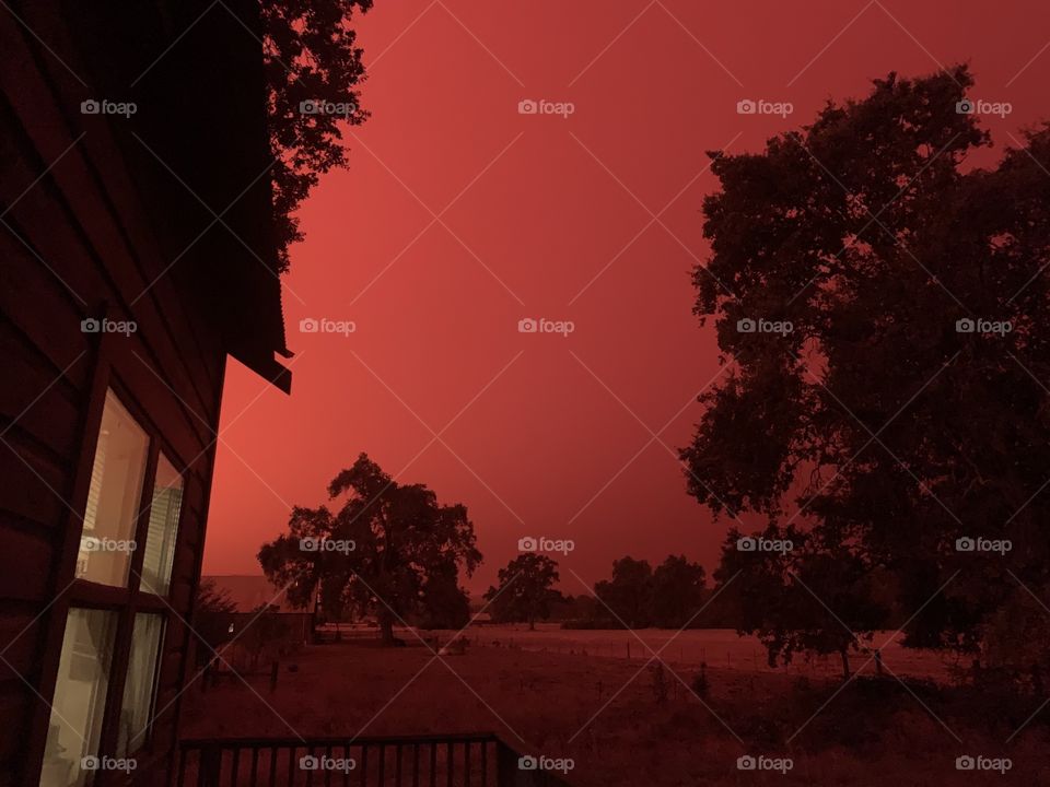 Sky during August complex fire