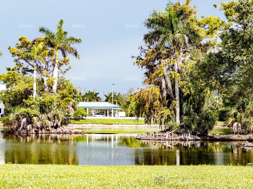 Beautiful landscapes 