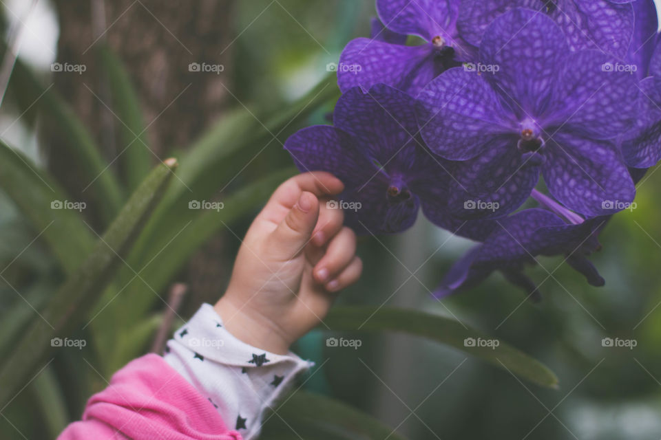 baby and flower