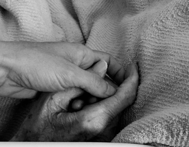 Old and young hands 