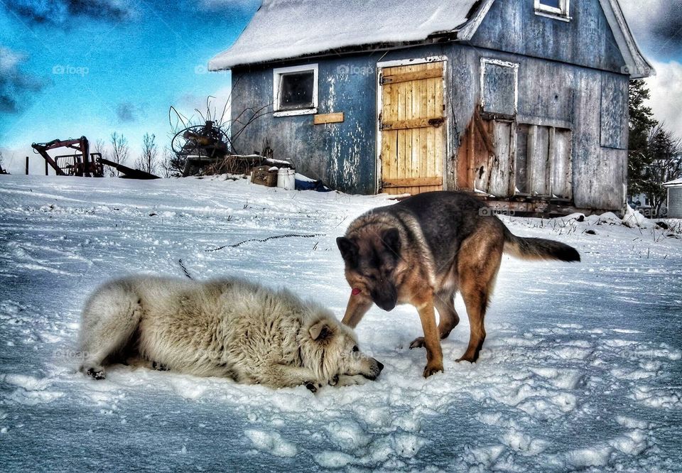 Winter play time