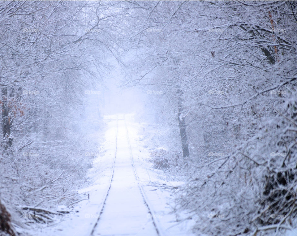 Road to Narnia. Snow covered railroad tracks appear to lead to Narnia