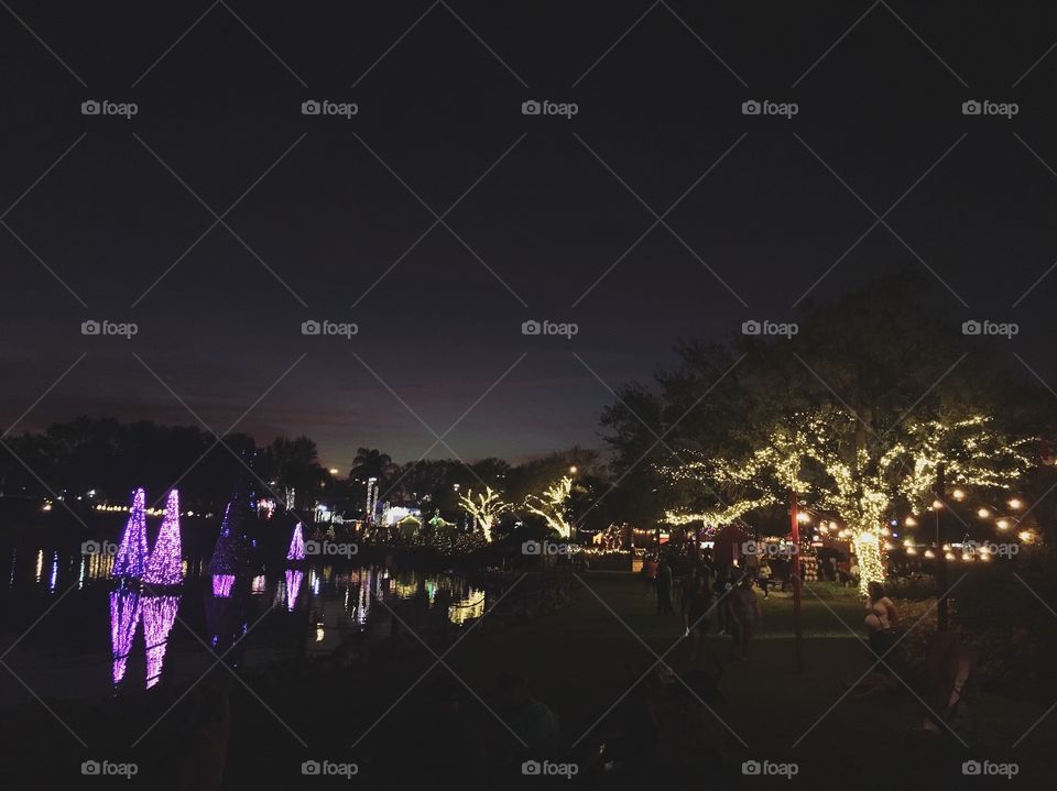 Christmas at Seaworld 