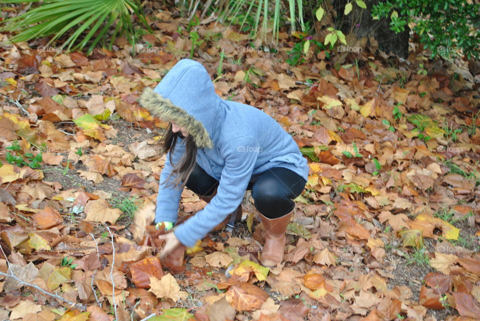 Picking up autumn leaves from the ground