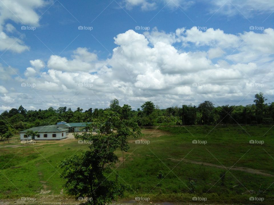 A view of sunny day