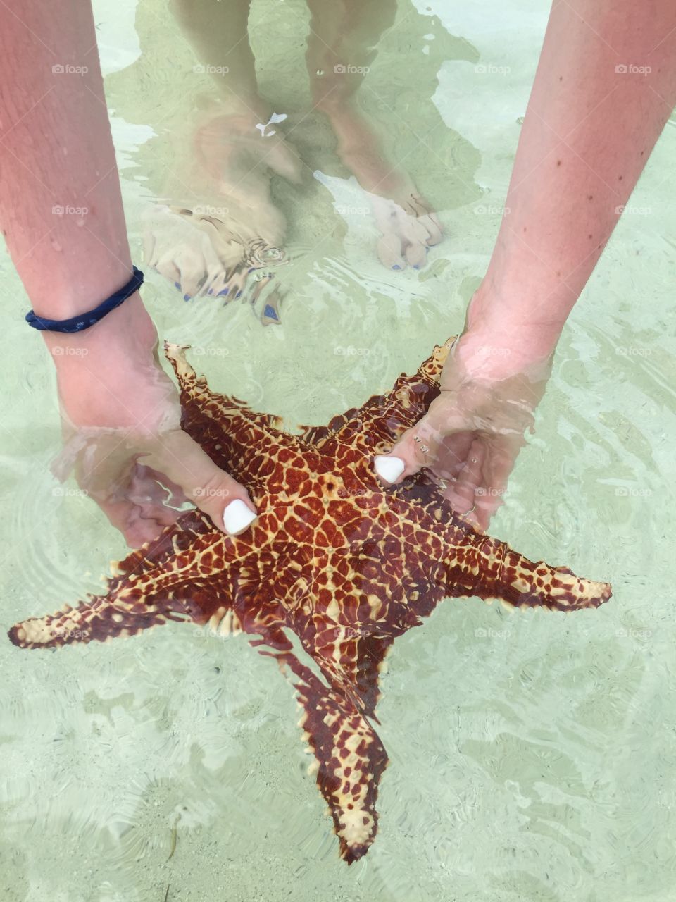  A Caymans Starfish