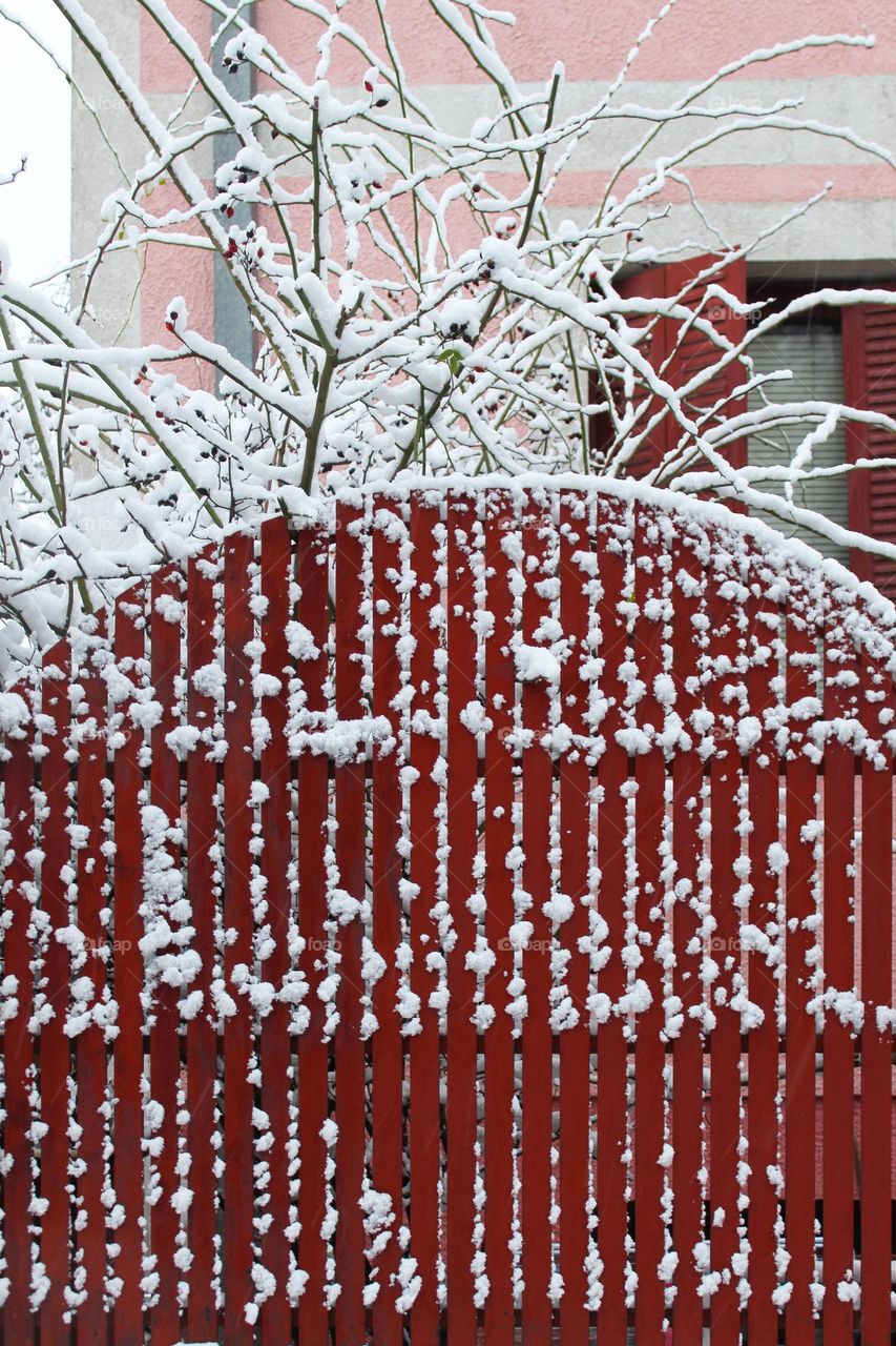 Red wooden semicircular fence covered and decorated with snow.  In the background, a wall of white-pink house