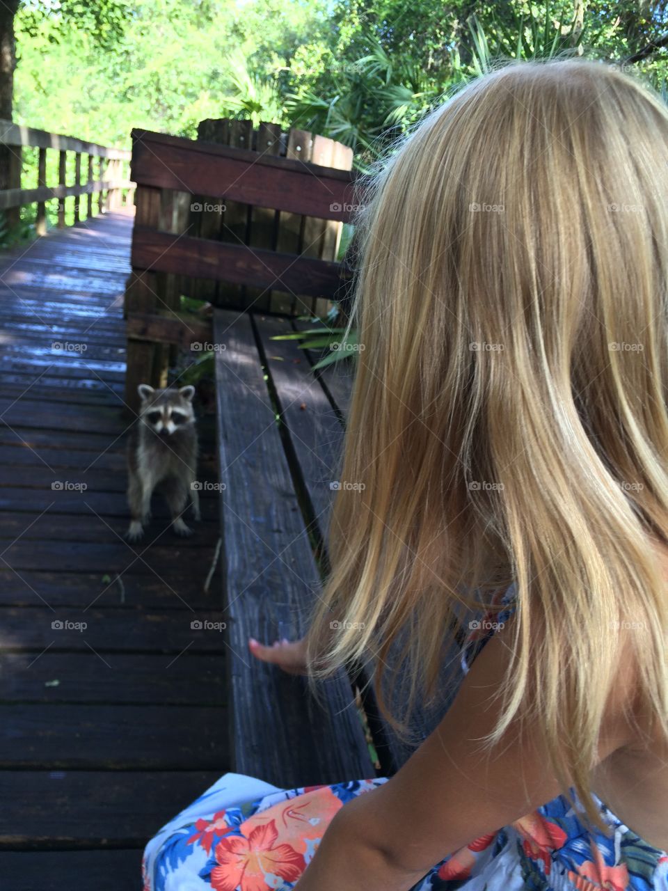 Little girl encounters raccoon 