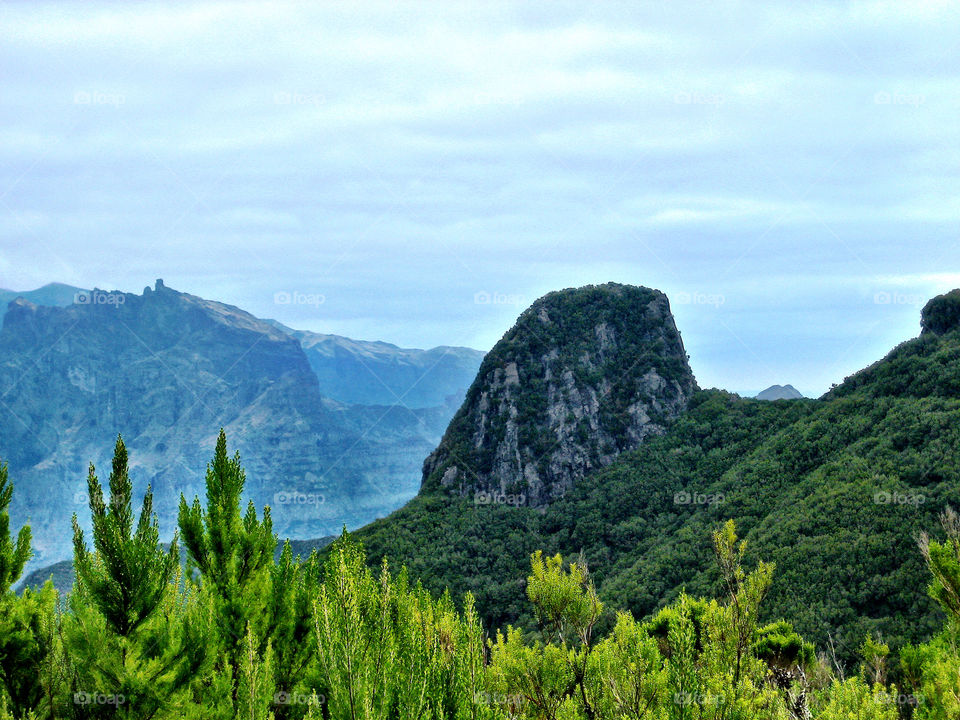 Scenic view of green landscpe