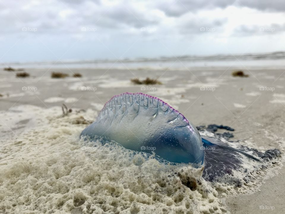 Beach shoreline dangers on vacation 