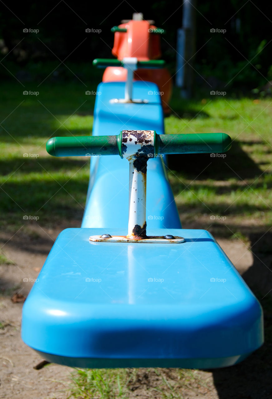 ground macro blue grass by hugo