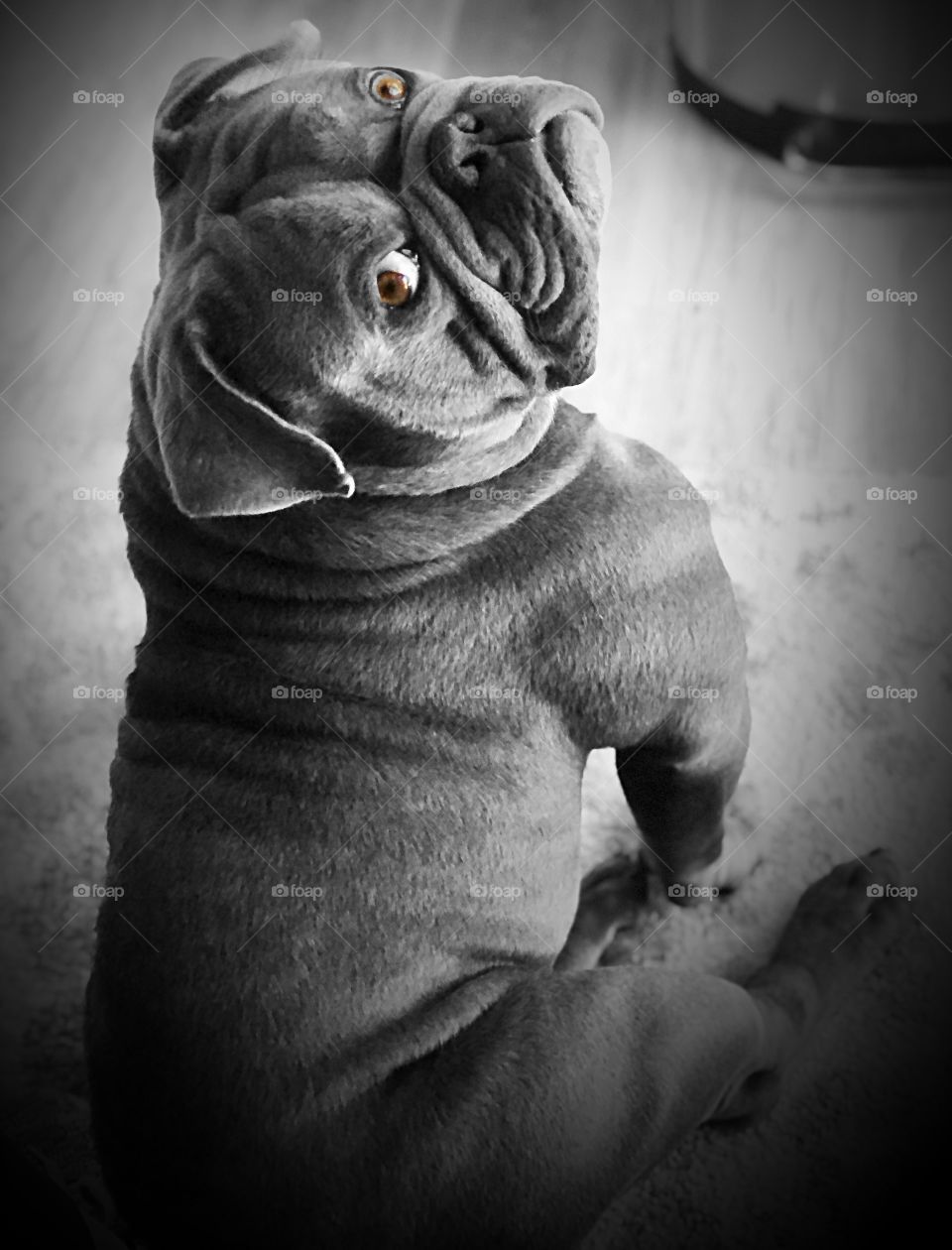 Looking over his shoulder 