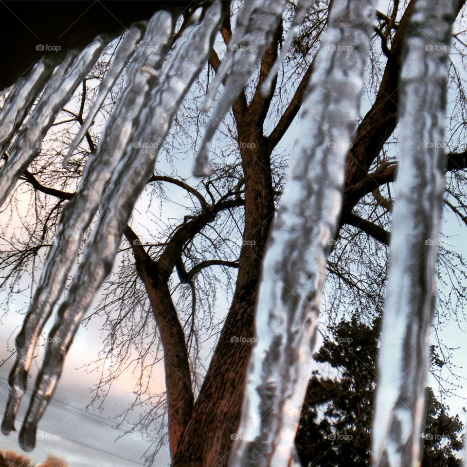 Icicles 