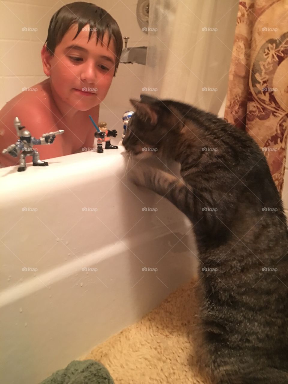 Cat watching a bath