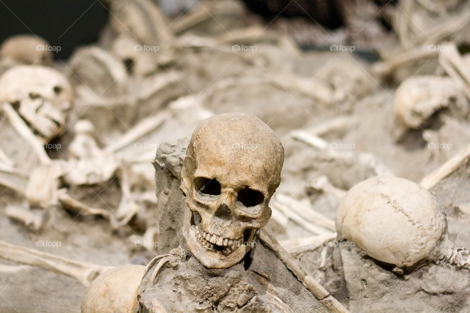 Herculaneum skeletons