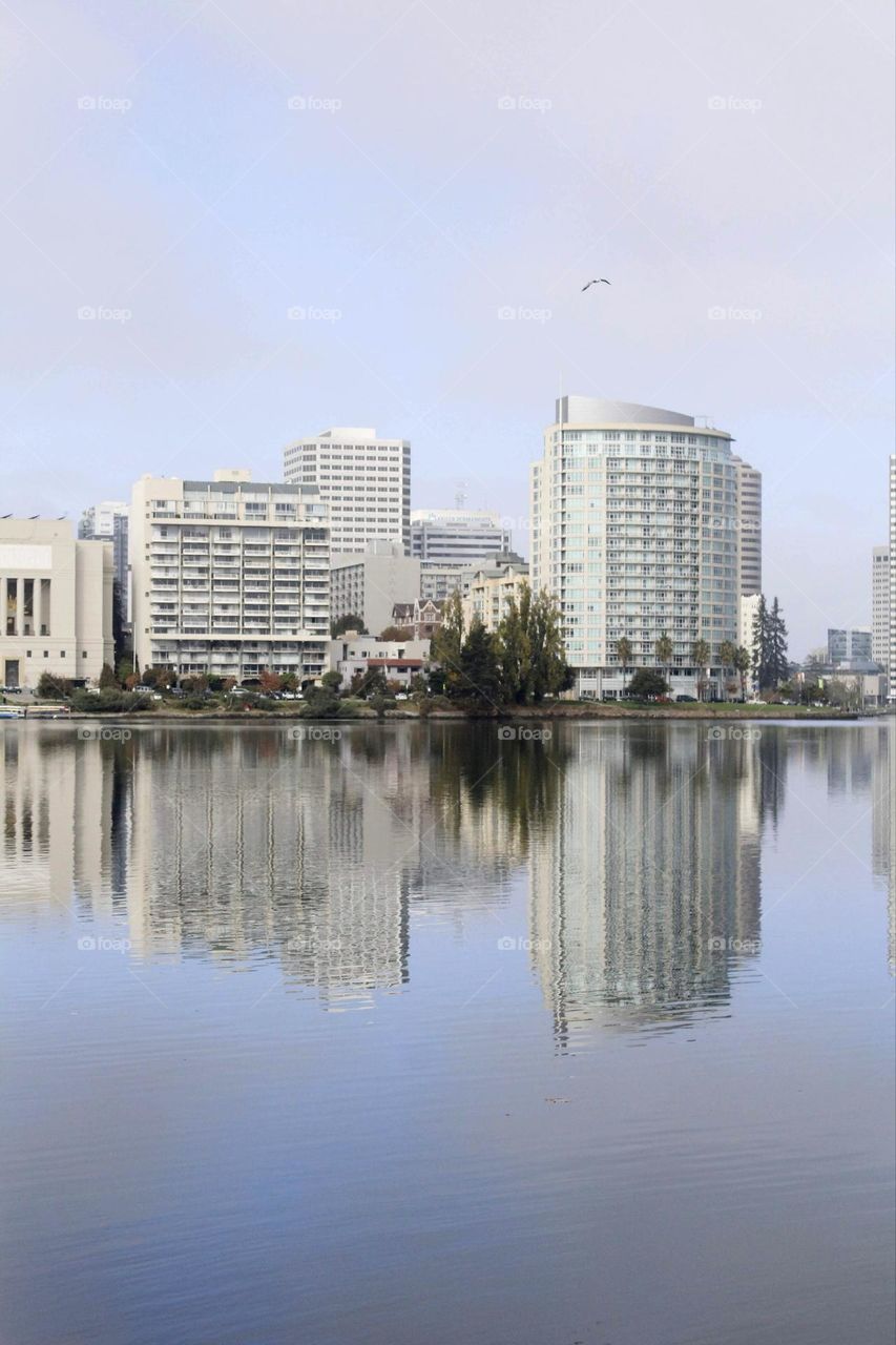 Urban nature water reflections of architecture