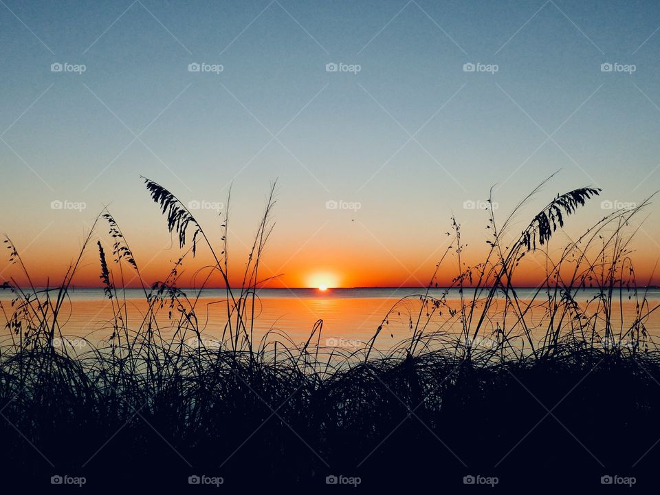 An evening sunset amongst the Florida sea grass.