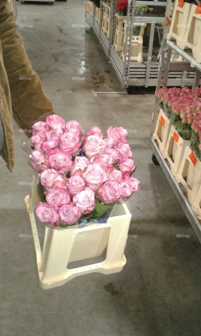 Flower, No Person, Bouquet, Stock, Decoration