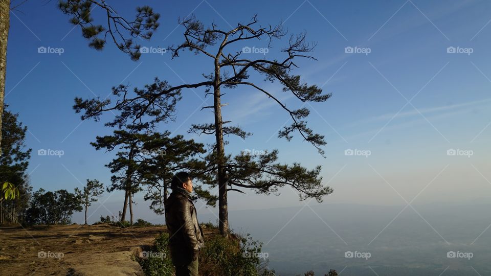 Tree, Landscape, Daylight, Sky, Travel