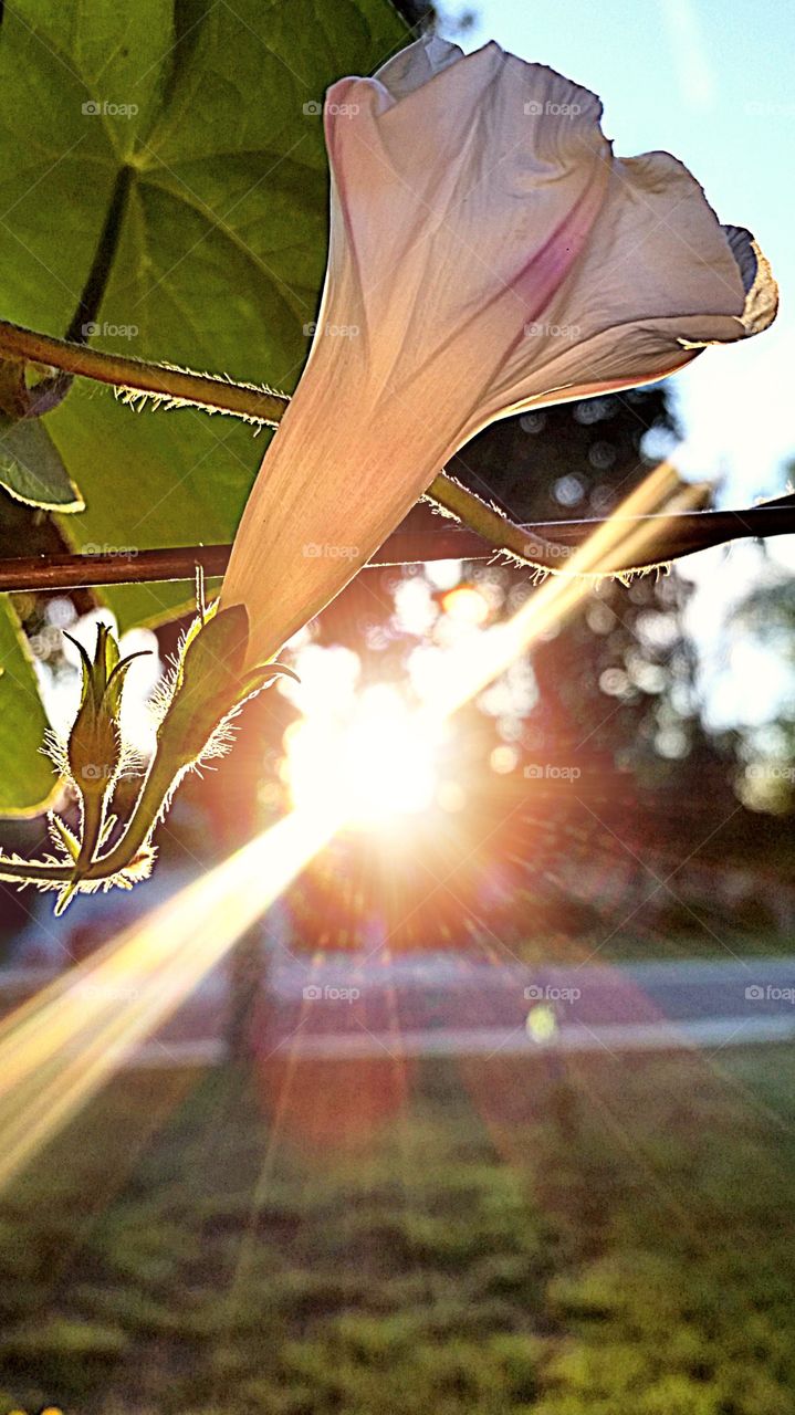 Glory in the morning. sunrise from my front door!!!