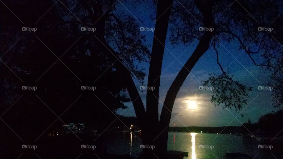 Moonlight on the Lake. I took this pic in September 2015 on Lake Hopatcong New Jersey.