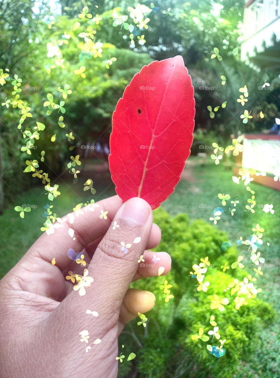 Love the nature. 😌That's enough