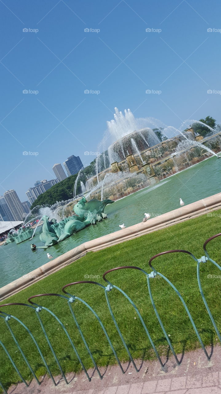 fountain of youth. Chicago fountain