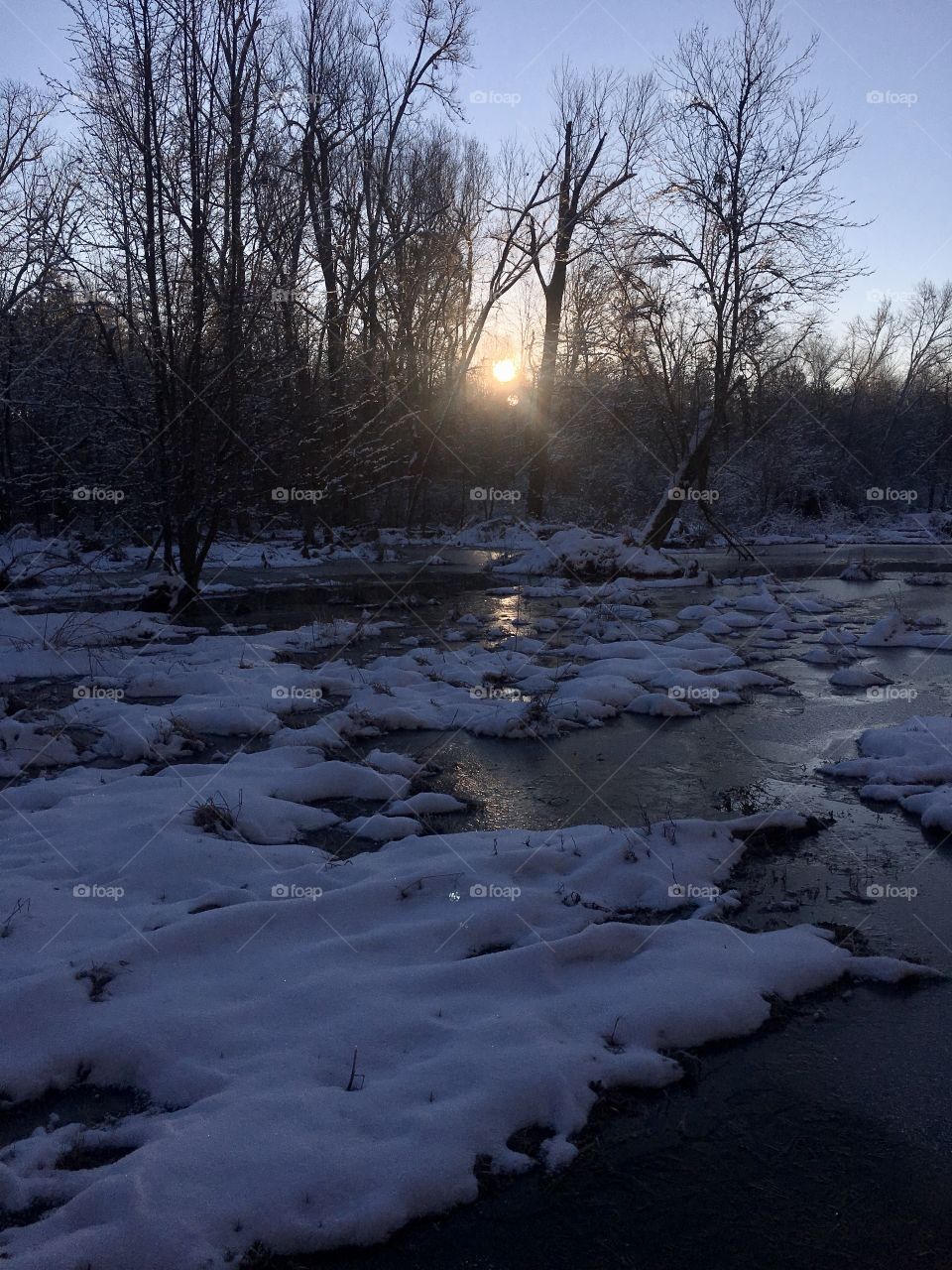 Early morning sun peeking over the snow covered swamp in the forest