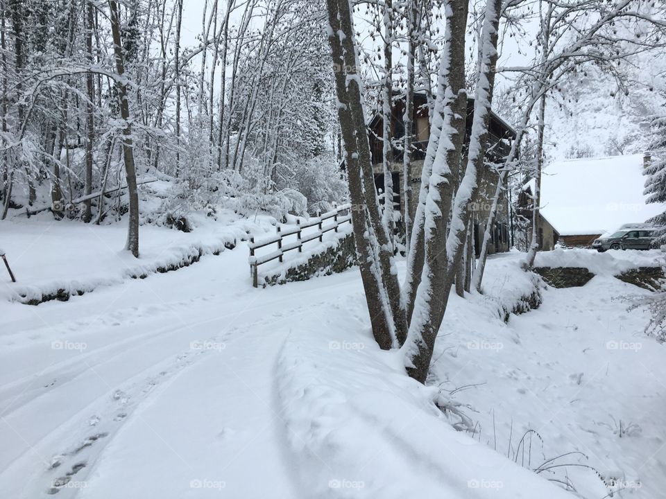 Peaceful hamlet in the snow