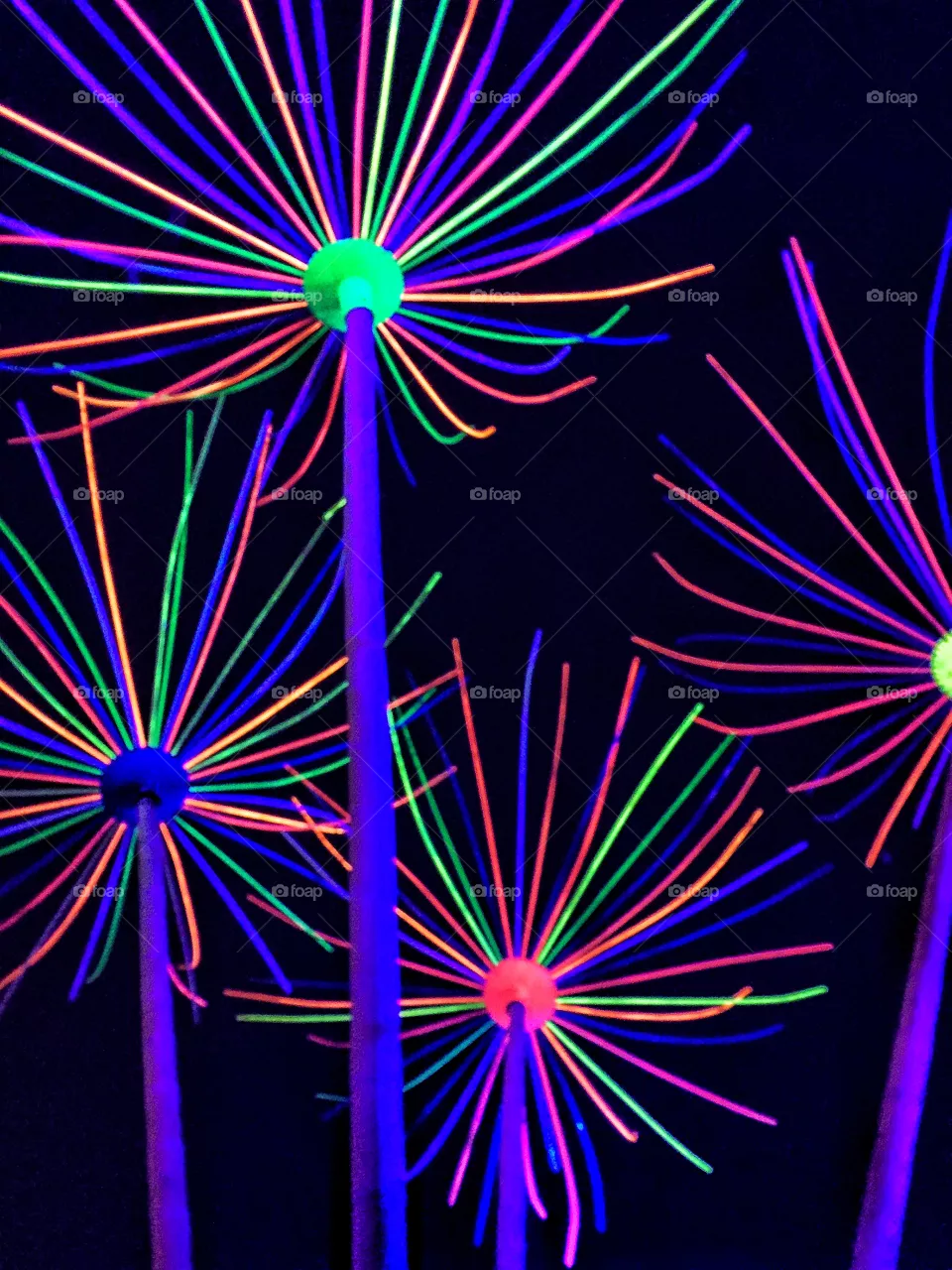 Lights