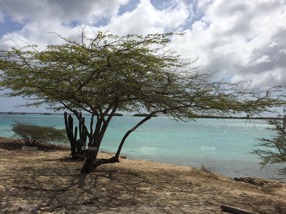 At the end of the day