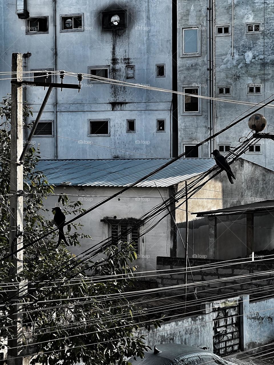 Urban dystopia where nature and city stand in stark contrast with each other in India