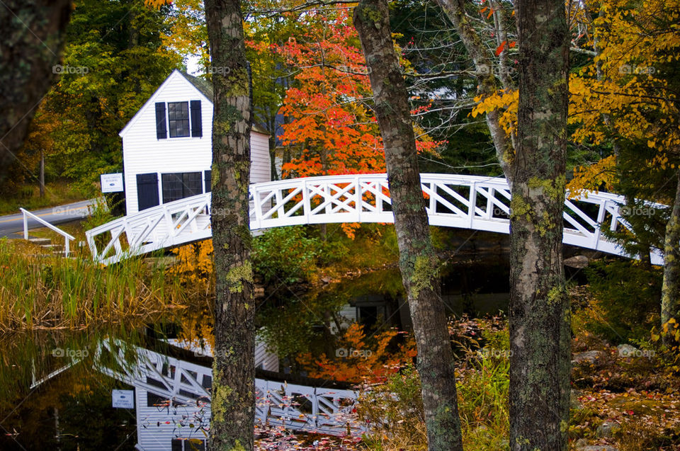 Autumn white bridge