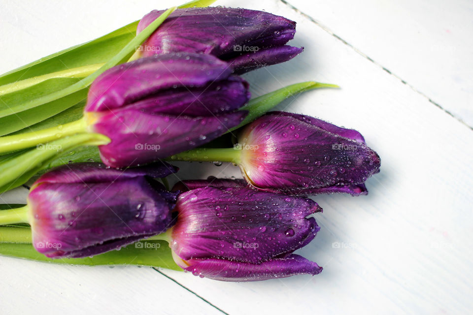 A bouquet of tulips: congratulations, March 8 (International Women's Day), February 14th (Valentine's Day), holiday