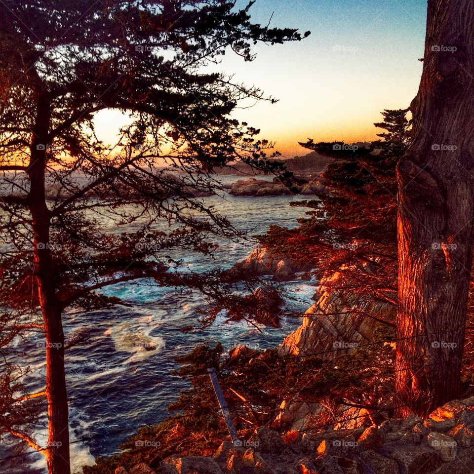 Craggy coastline outside Carmel CA