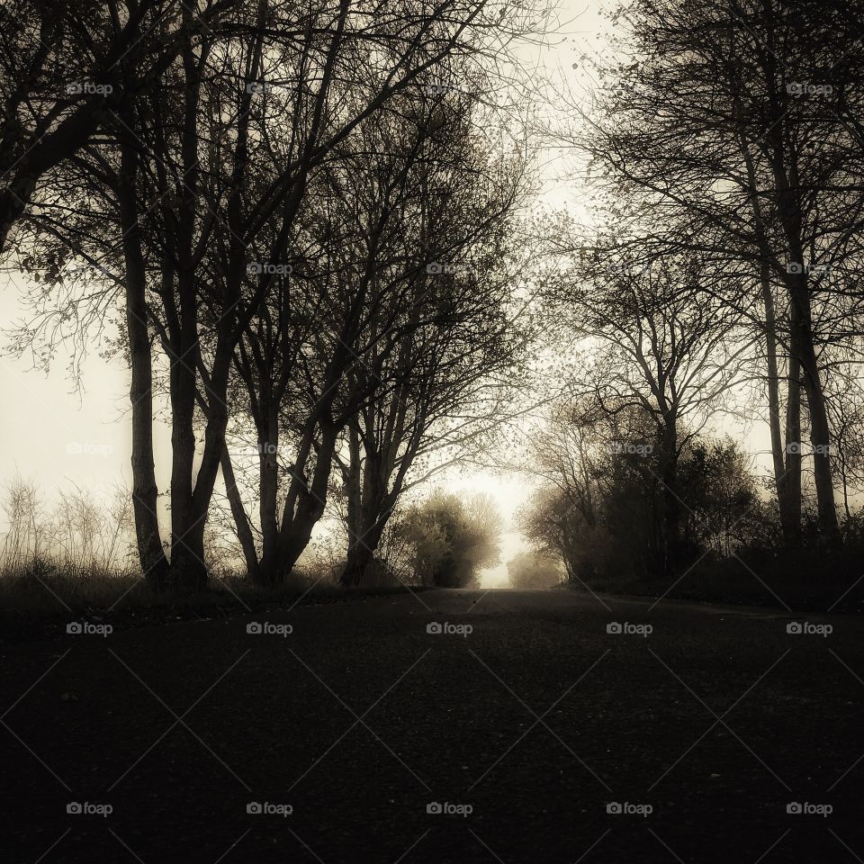 Autumn is an amazing stretch of moths ...