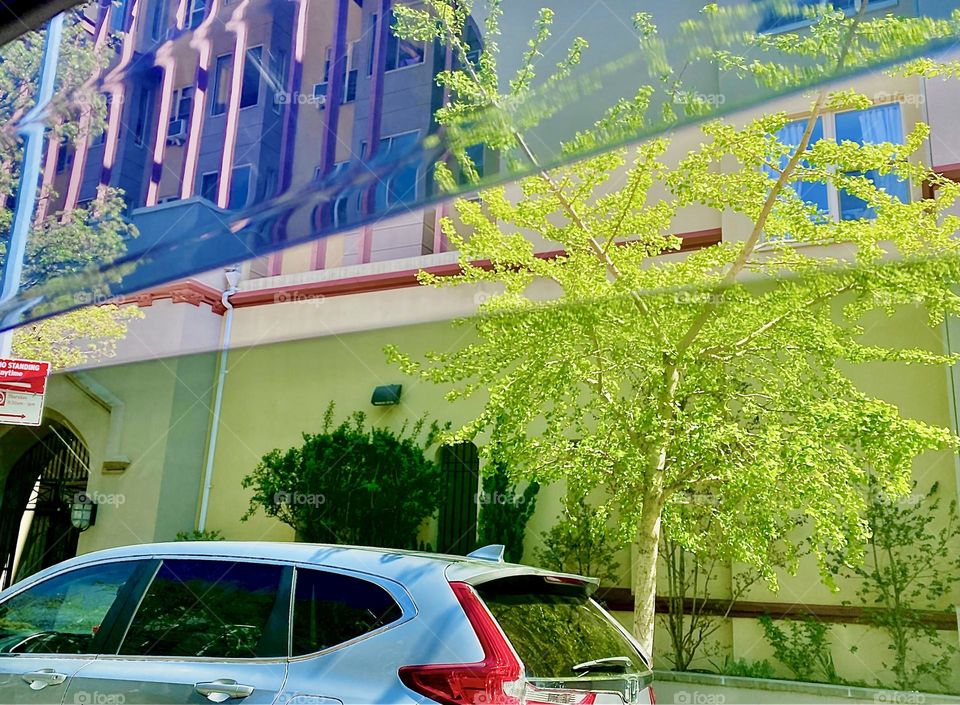 A lush green tree and an old fashioned style building seen through the tinted side windows of a car driving us from Fort Greene, Bklyn back to “Newtown Creek” in Long Island City, Queens in late April of 2022. Hypnotic Productions