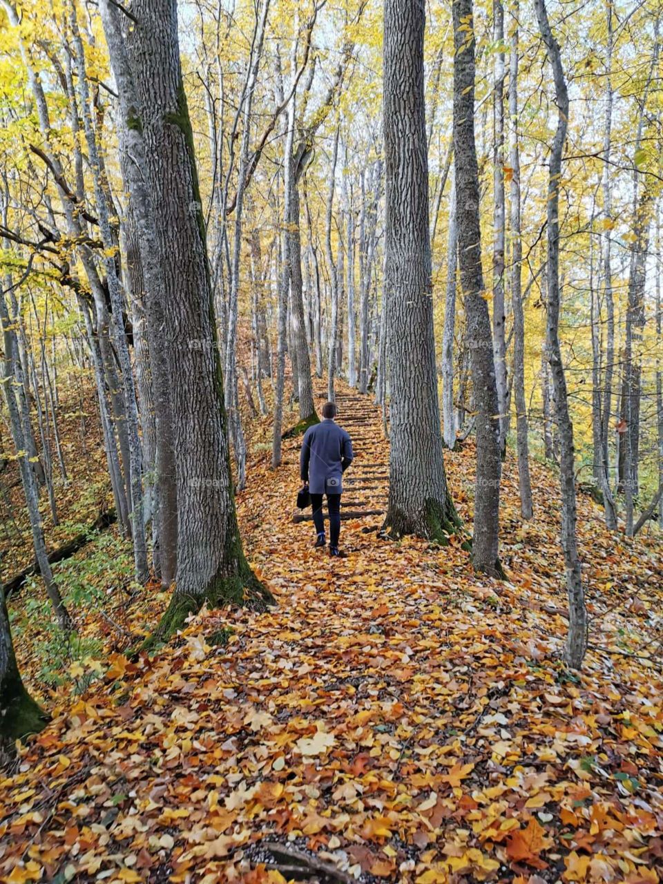 Me in a colorful forest.