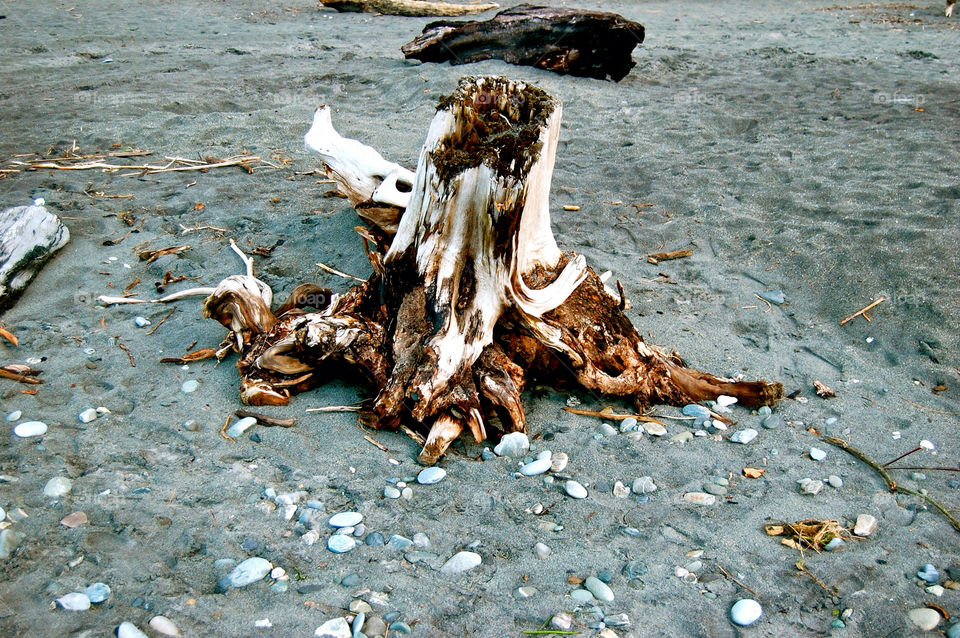 Hokitika beach driftwood New Zealand