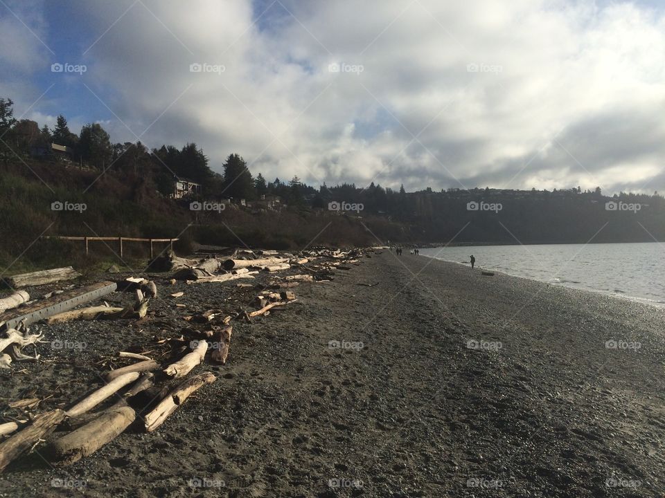 Logs along the shoreline on a Seattle beach.