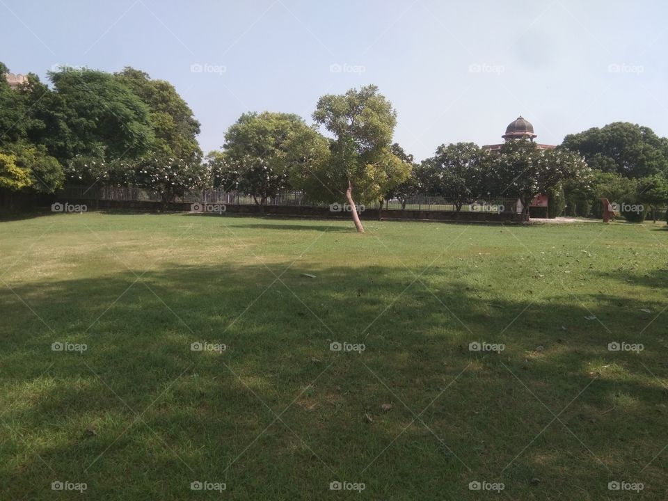 this is a green park and beautiful place.and peaceful ..