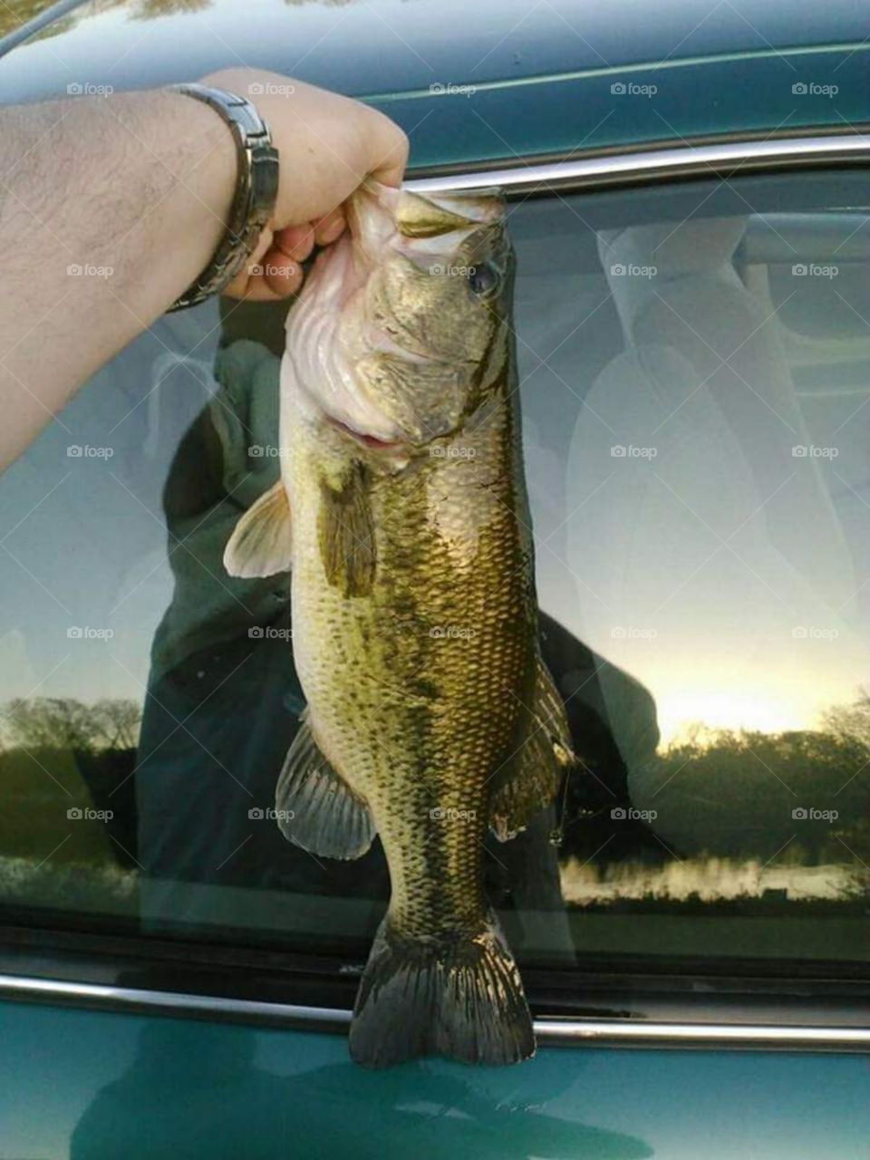 nice large mouth as big as my window