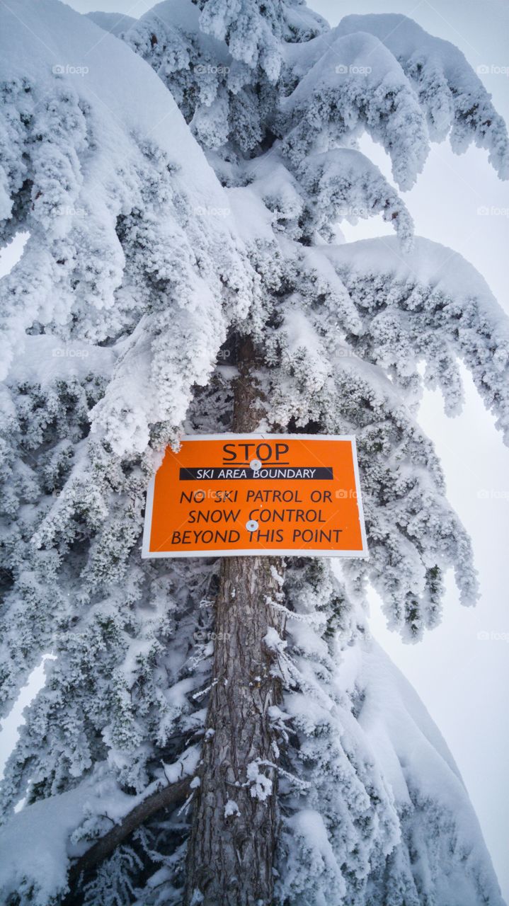 Mountain Ski Area Boundry Warning Sign