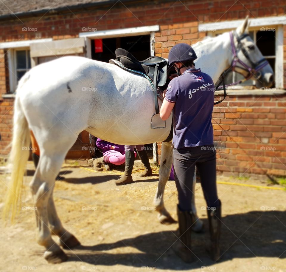 tacking up a white horse