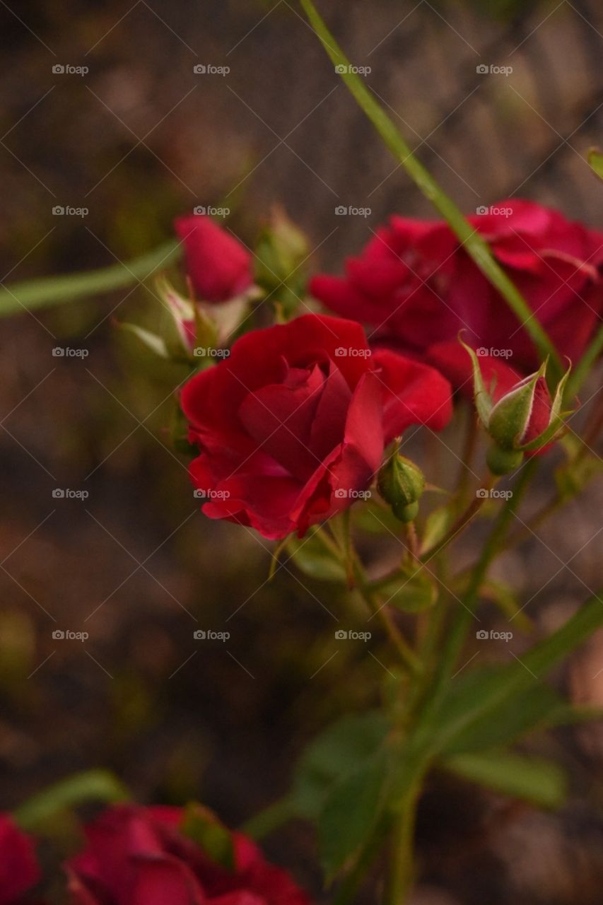 Darryl Wilson. Just taking photos