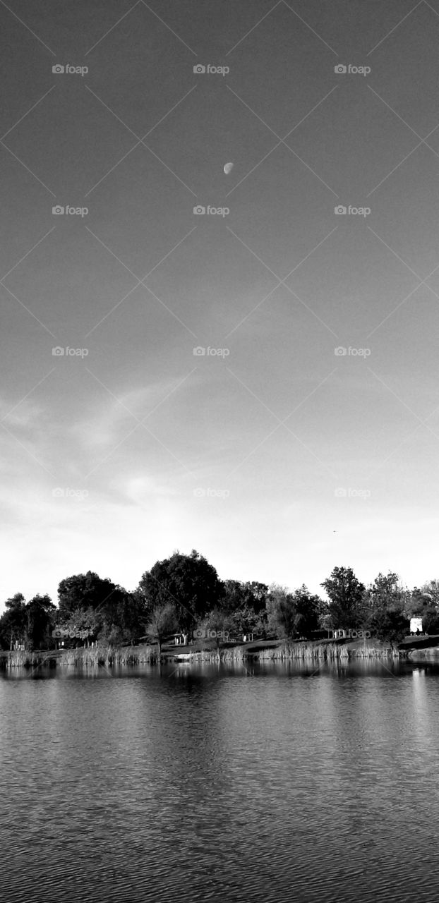 fall time,  moon wanted to stay out all day