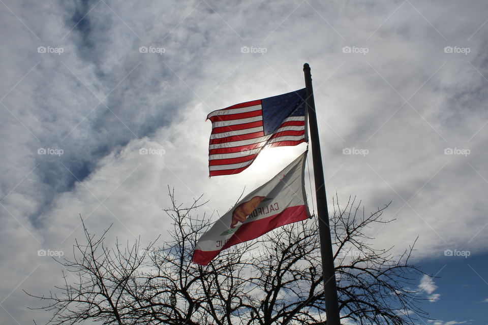 sunlight Stars and Stripes
