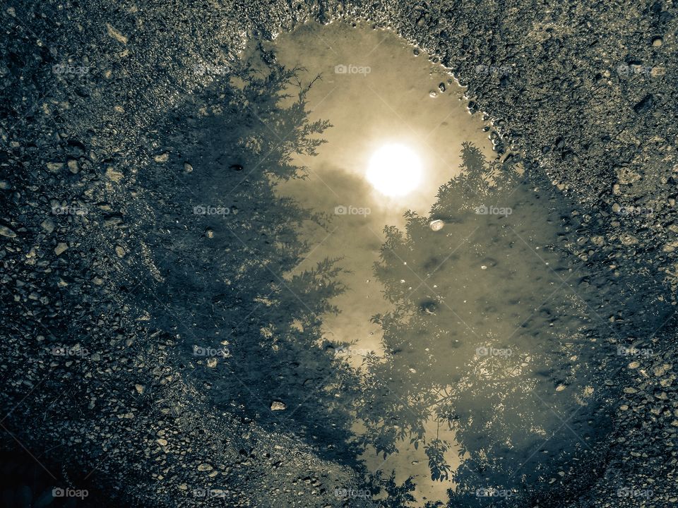 Moon sun reflected with trees and clouds in a rain puddle on a rock road in sepia tones moonlight